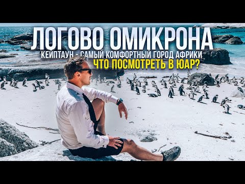 Видео: Что посмотреть в ЮАР? Кейптаун. Южный край земли. Пляж с пингвинами. Сафари