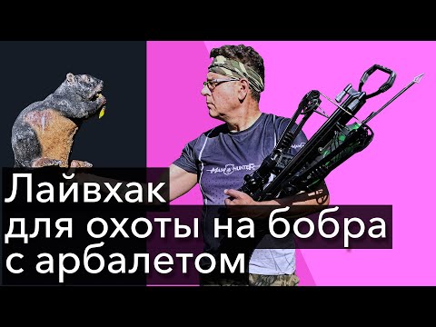 Видео: Лайфхак для охоты на бобра с арбалетом.