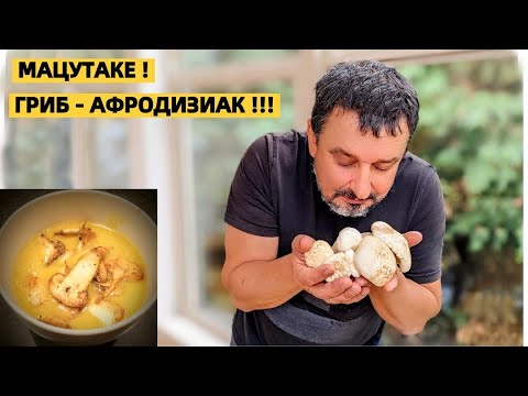 Видео: САМЫЙ ДОРОГОЙ И ВКУСНЫЙ ГРИБ! СБОР ГРИБОВ В США. ЛУЧШИЙ РЕЦЕПТ СУПА ИЗ ТЫКВЫ С МАЦУТАКЕ. MATSUTAKE