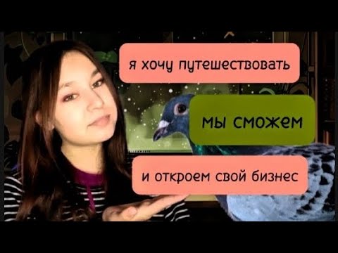Видео: Переписка для смеха.Голубь Гриша.