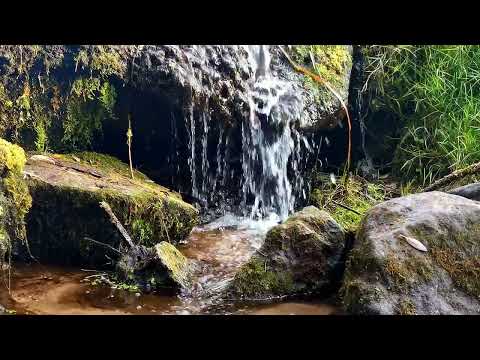 Видео: Звуки Природи для Твого Сну та Відпочинку| Звук Води
