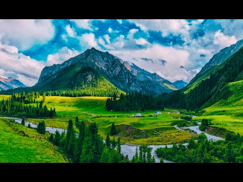 Видео: Топ Дикая природа Казахстана