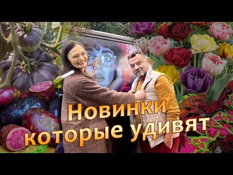 Видео: Необычные новинки, которые удивят в этом сезоне