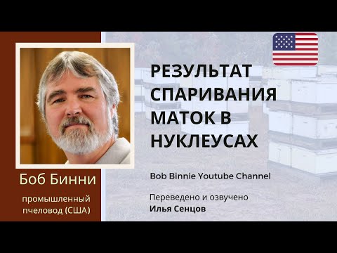 Видео: Результат облета отводков (Боб Бинни, США)