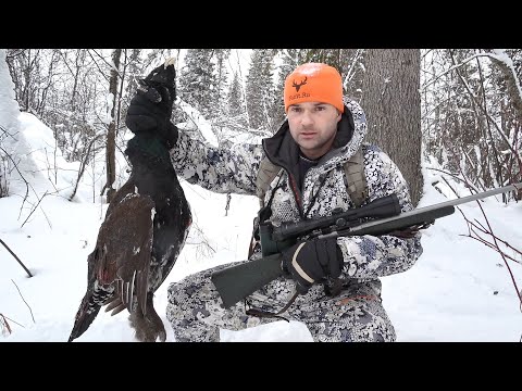 Видео: ОХОТА НА ГЛУХАРЯ В ГУСТОМ ЛЕСУ. ДОБЫЛ ТРОФЕЯ ИЗ МЕЛКАШКИ. ЗАКРЫТИЕ ОХОТЫ НА БОРОВУЮ ПТИЦУ.