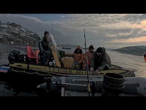 Видео: Рыбалка Цыпнаволок 09.05.2025. Fishing Tsypnavolok 05/09/2025.