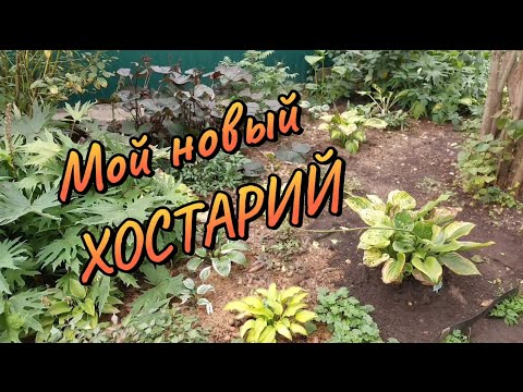 Видео: Райский уголок для(из) хост. Разбила новый хостарий. Новинки этого года.