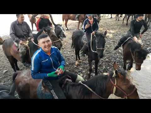 Видео: Жалпы улакга келген Эл Каленов Баяаманды Балбан деп Атады Жана сыйлык тапшырды
