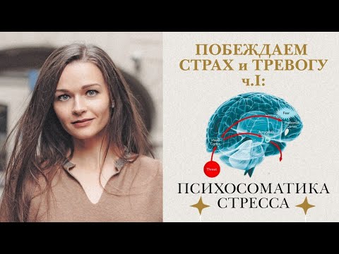 Видео: СТРАХ и ТРЕВОГА. АДРЕНАЛИН и КОРТИЗОЛ. Нейрохимия стресса. Психосоматика и здоровье.