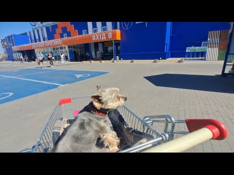 Видео: ПОМОГЛИ ЧЕЛОВЕКУ...НАКУПИЛИ ВСЁ ЧТО НАМ НАДО БЫЛО...ДЕНЬ ПРОШЁЛ НЕ ЗРЯ 