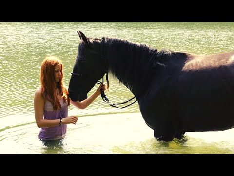 Видео: ПРИКЛЮЧЕНЧЕСКИЙ ФИЛЬМ О ДРУЖБЕ И ЛОШАДЯХ ДЛЯ ВСЕЙ СЕМЬИ! Восточный ветер. Лучшие фильмы. Filmegator