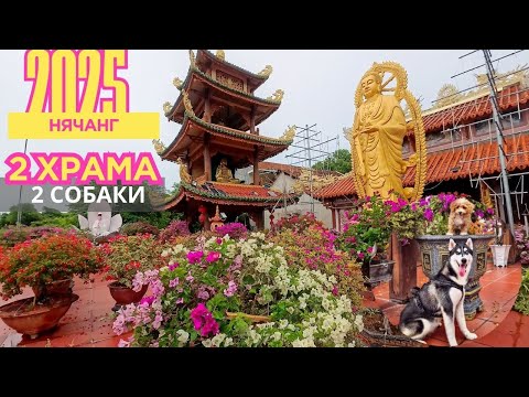 Видео: [VLOG] 2 ХРАМА (07.10.25)