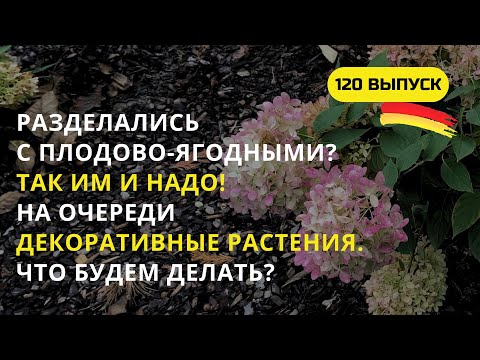 Видео: Дача в Германии. Хочу пышное цветение гортензий следующей весной! Действуем прямо сейчас!