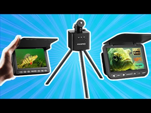 Видео: Мой подробный обзор новых камер FISH PRO