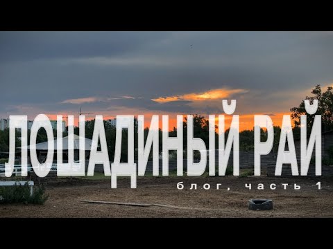 Видео: НОВАЯ РАБОТЕНКА | КОННЫЙ БЛОГ