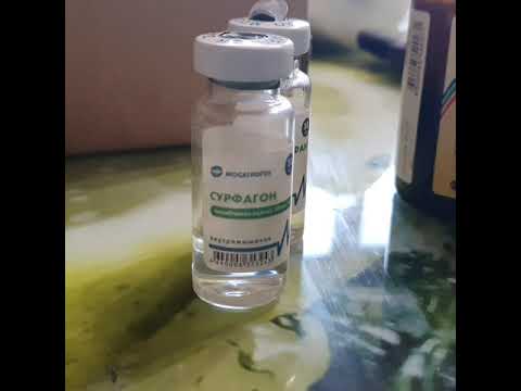 Видео: Корова не пришла в охоту? Как вызвать охоту у коровы?