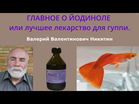 Видео: Главное о йодиноле или лучшее лекарство для гуппи. Часть 1