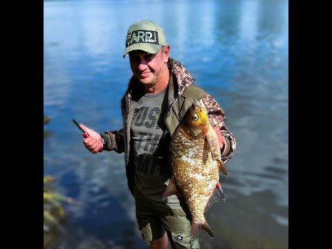 Видео: ВЫХОД КРУПНОГО ЛЕЩА! ОТЛИЧНО ОТЛОВИЛИСЬ! РЫБАЛКА В ГОЛЛАНДИИ!