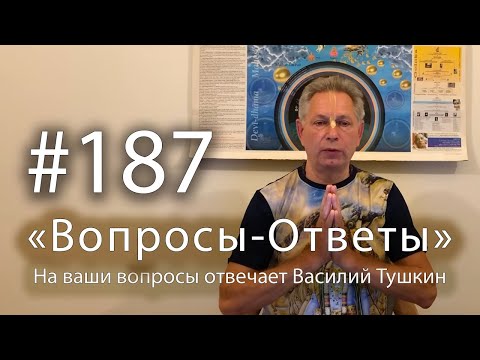Видео: 2025-11-14 - "Вопросы-Ответы", Выпуск #187 - Василий Тушкин отвечает на ваши вопросы