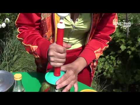 Видео: Вакуумные крышки ВАКС  Мастер класс по применению  Консервируем огурцы