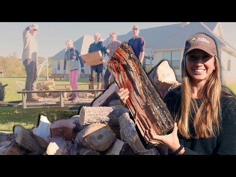 Видео: Как мы готовим усадьбу к ЗИМЕ ❄️