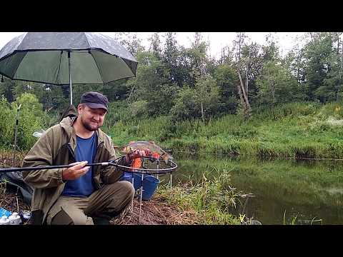 Видео: Ловля пикером,на малой речке