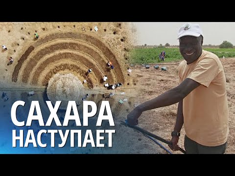 Видео: Как круглые сады помогают остановить пустыню