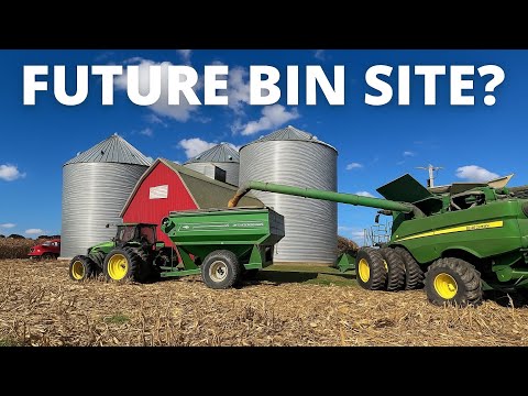 Видео: 1-й день УБОРКИ КУКУРУЗЫ!