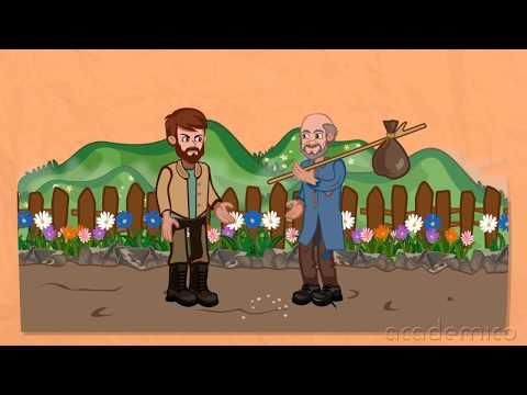 Видео: Образът на българина в художествената литература - Литература 4 клас | academico