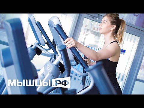 Видео: Тренировка для новичка в тренажёрном зале!