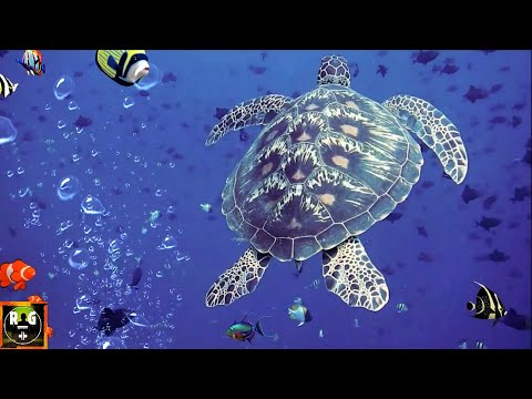 Видео: Подводные звуки с природой океанов и подводных животных | 8 часов глубокий морской звук