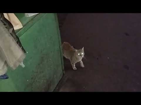 Видео: 🤪😃😵‍💫🤷КТО РАНО  ВСТАЁТ,  ТОМУ НА  ЗАВОД!😉🤪😂😂😂😂