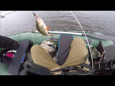 Видео: Карельское лесное озере. Жор окуня,где не ждали.