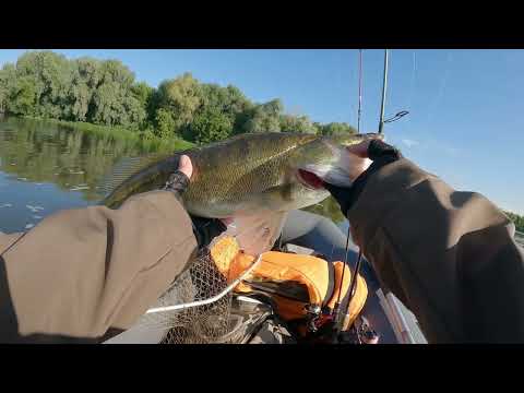 Видео: Москва - река | Рыбалка на спиннинг с лодки | Сильная рыба тянет вниз |