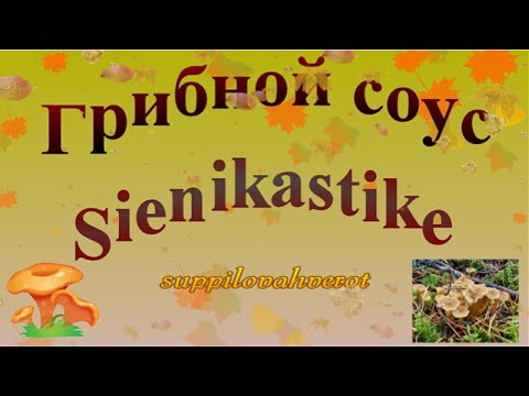 Видео: Sienikastike Грибной соус. Suppilovahverot