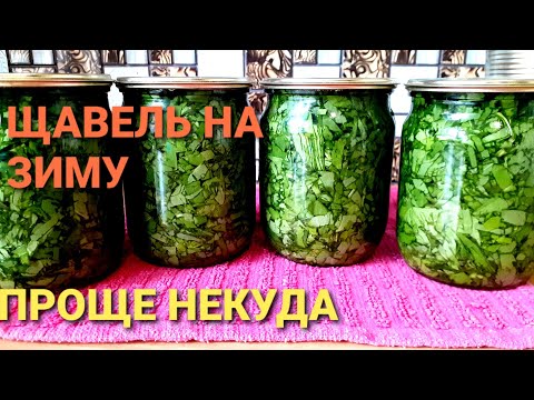 Видео: ЩАВЕЛЬ НА ЗИМУ-без консервации и заморозки.Быстрые ПИРОГИ со ЩАВЕЛЕМ Жизнь в деревне.#Беларусь