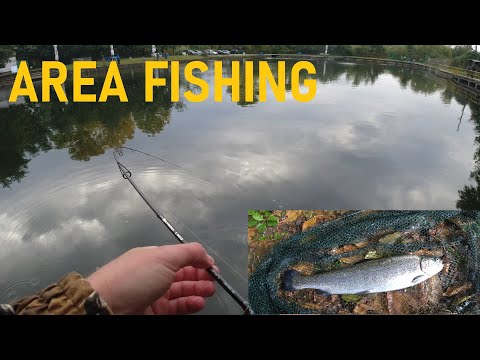 Видео: НОВА ПОРЕДИЦА: РИБОЛОВ НА АМЕРИКАНСКИ ПЪСТЪРВИ! ЕПИЗОД 1: РИБАРНИК ЕЗЕРОТО ДУПНИЦА!