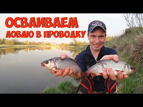 Видео: Рыбалка в проводку с берега.