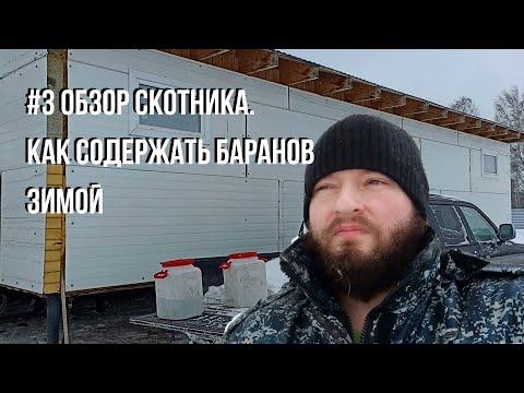 Видео: #3 Обзор скотника. Как содержать баранов зимой