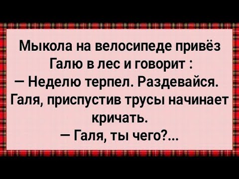 Видео: Как Мыкола в Лес Галю Возил! Сборник Свежих Анекдотов! Юмор!
