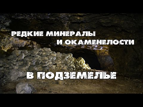 Видео: Что скрывают битумные штольни?| Поиск и обзор редких сезонных минералов и окаменелостей