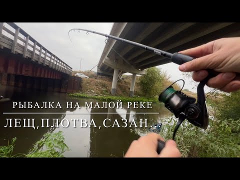 Видео: Рыбалка на малой реке.Лещ,плотва,сазан…