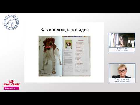 Видео: Pro et contra: одна собака – три мнения (вебинар-практикум) | «Ответственное собаководство онлайн»