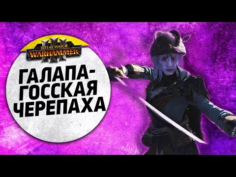 Видео: Галапагосская черепаха | Берег Вампиров vs Бретония | Ленды | Total War: WARHAMMER 3