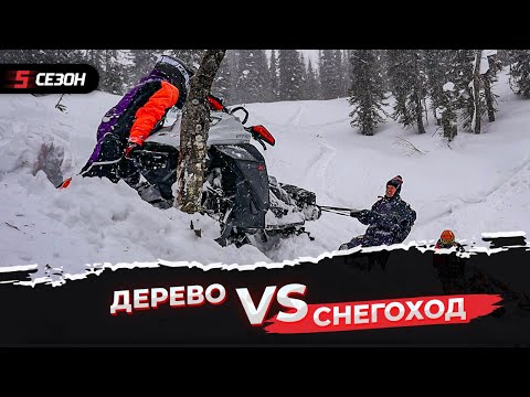 Видео: Снегоход VS дерево. Было несколько попыток...