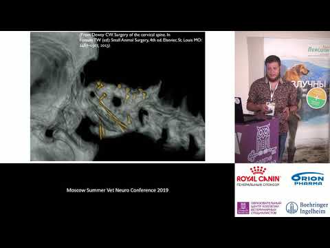 Видео: Албул А. В. - Наш опыт лечения мальформаций затылочной области