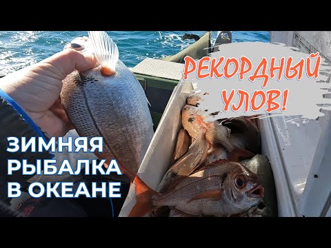 Видео: Рекордный улов отчаянных рыбаков Португалии. Рыбалка в Атлантическом океане в минусовую погоду.