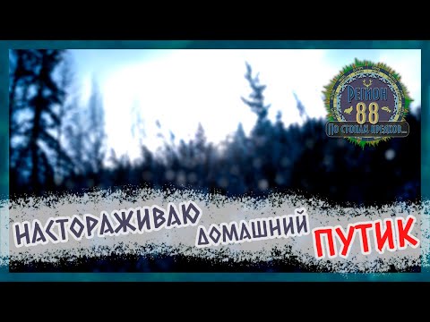 Видео: Регион 88 | Настораживаю домашний путик