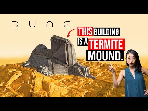 Видео: ДЮННЫЕ ГОРОДА: вымысел или реальность?