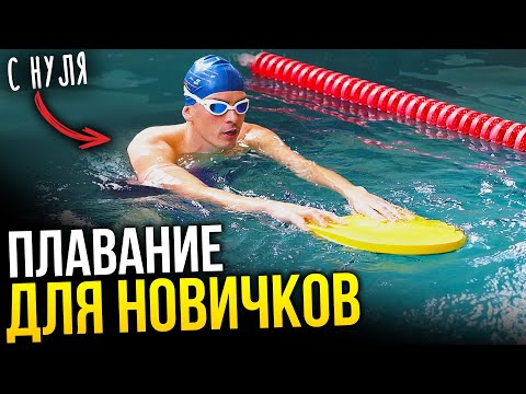 Видео: ТРЕНИРОВКА ДЛЯ НОВИЧКОВ на 40 минут. Упражнения в бассейне для первой тренировки